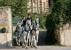 gift surprise: tour in horse drawn carriage in Vienna